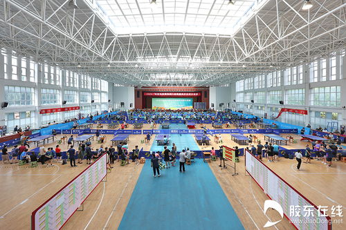 核力乒乓，共贏綠色未來 2024核能科普宣傳杯全民健身乒乓球大獎賽圓滿落幕