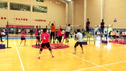 科技賦能，全民健身 免費開放引領健康新時代